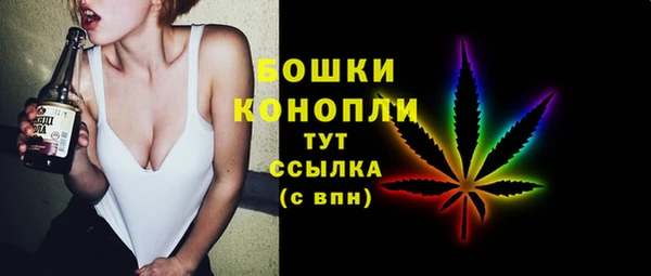 Альфа ПВП Богородск