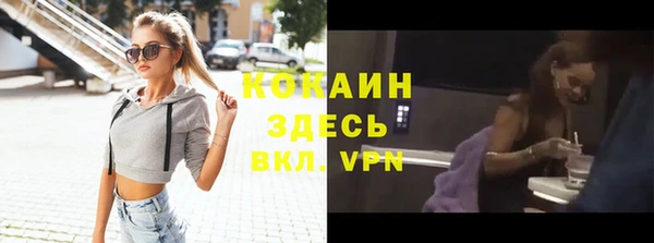 дурь Богородицк